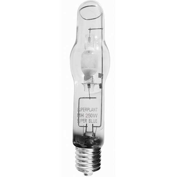Superplant - Ampoule MH Super Blue 250W - 14000°K - Lampe croissance