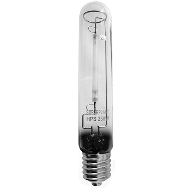 Superplant - HPS-Glühlampe 250W - 2100°K - E40 - Natriumdampflampe
