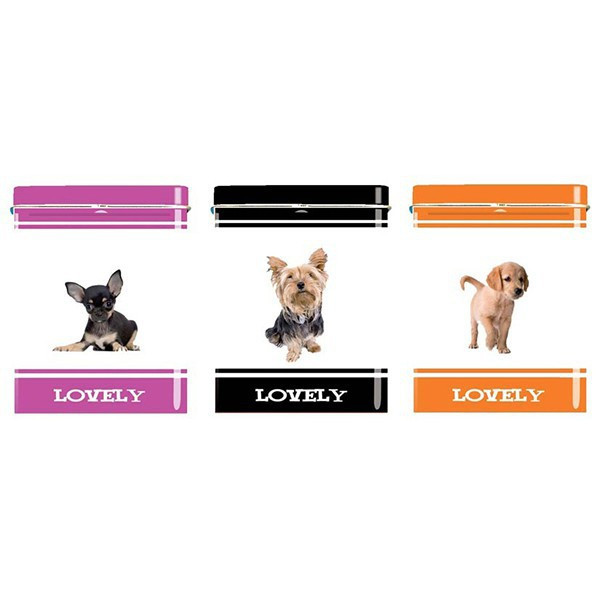 Caixa de cigarros - Chiot Golden