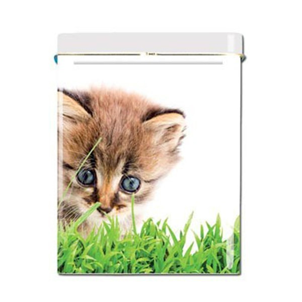 Etui à cigarettes - Chaton 3