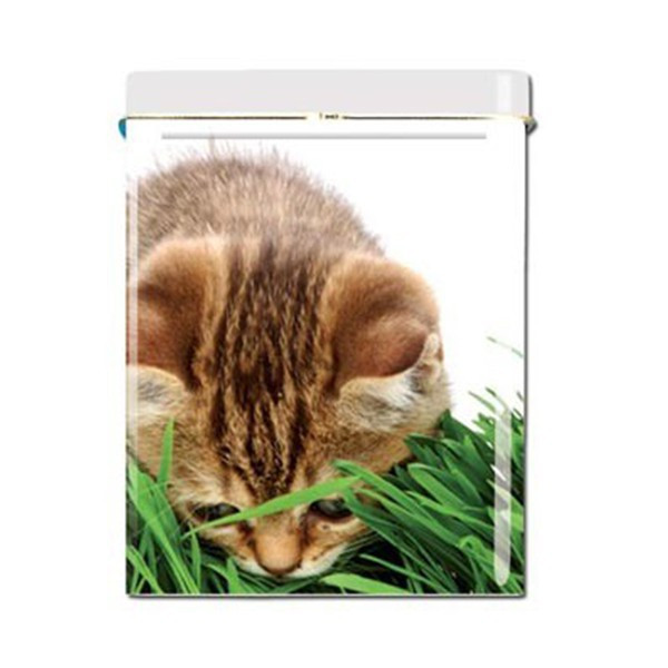 Cigarette case - Chaton 2