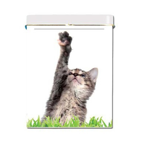 Cigarette case - Chaton 1
