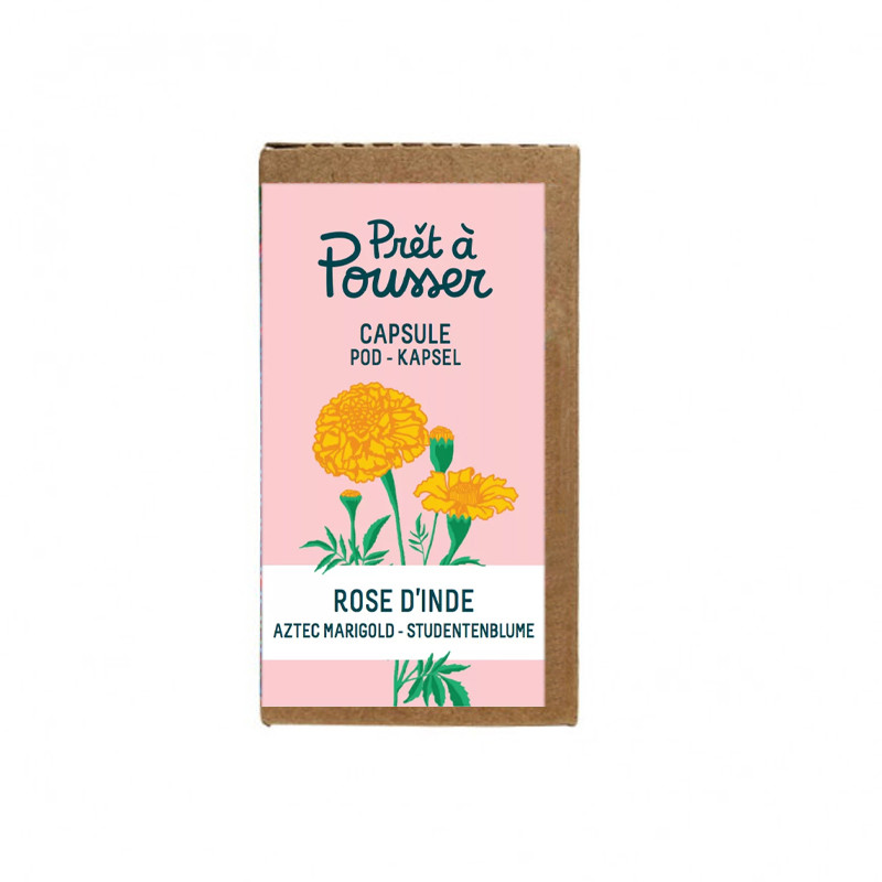 Prêt à pousser - Capsule de Rose d'Inde 50g
