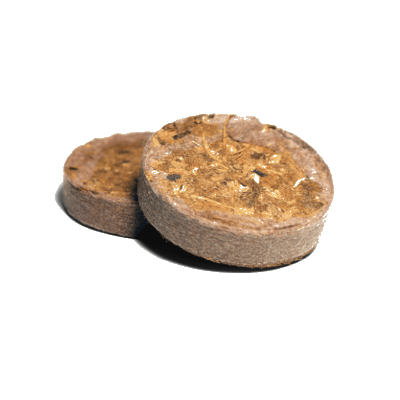 UGRO - Lot de 1000 Plug Bulk Rhiza - 30mm