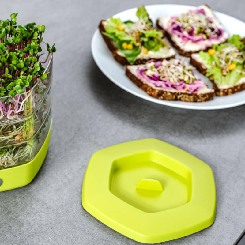 Flower Lover - Mungo Seed Tray - Branco