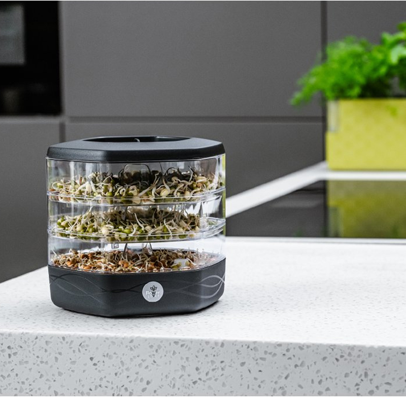 Flower Lover - Mungo pot auto irrigant - Anthracite