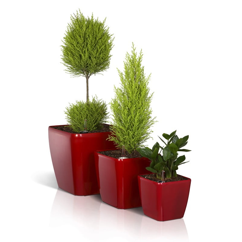 Flower Lover - Quadrato self-irrigating pot - 34x34x32cm - red