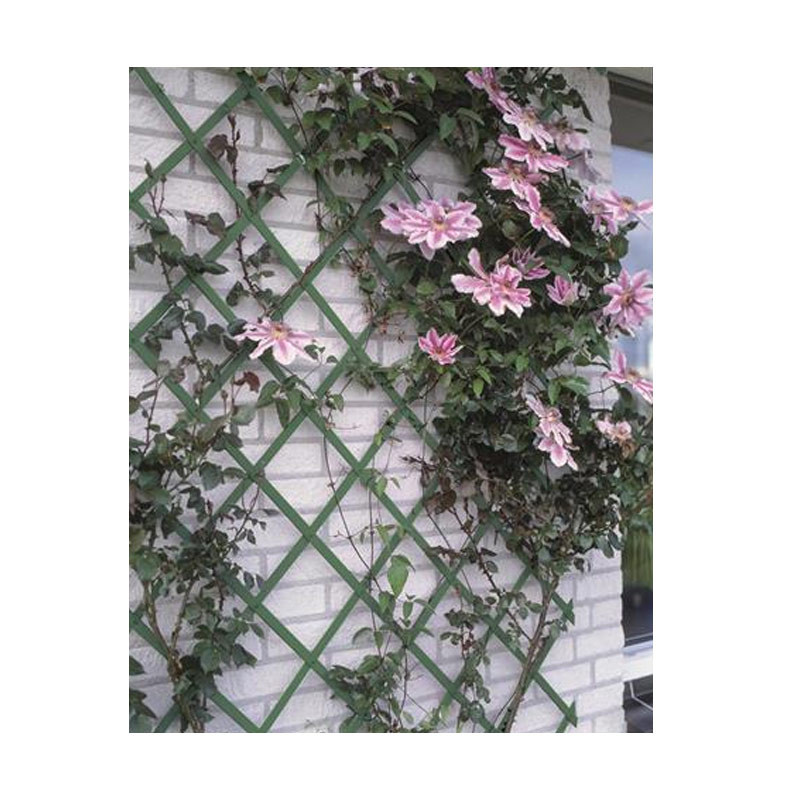 Nature - Plastic stretch mesh - 50x150cm