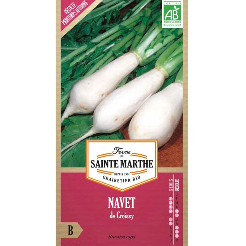 La ferme Sainte Marthe - Navet de croissy - 300 graines