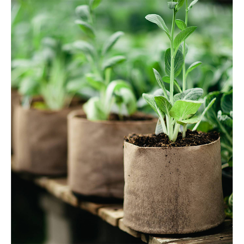 SMART POT BEIGE ORGINAL 2 GALLON