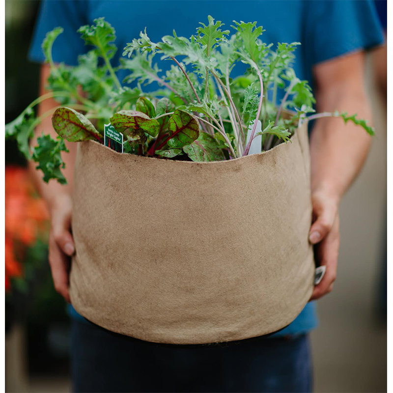 SMART POT BEIGE ORGINAL 10 GALLON