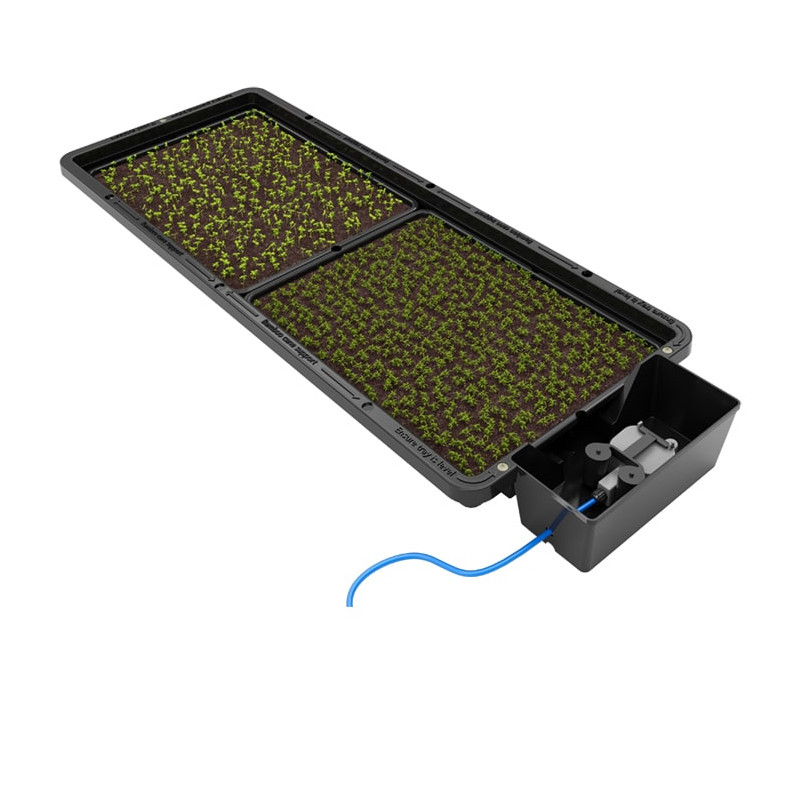 Autopot - Tray2grow - Sistema di coltivazione autonomo
