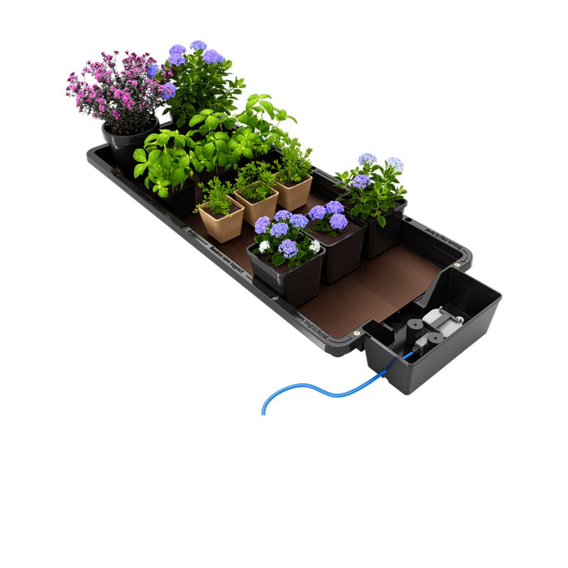 Autopot - Tray2grow - Autonomous growing system