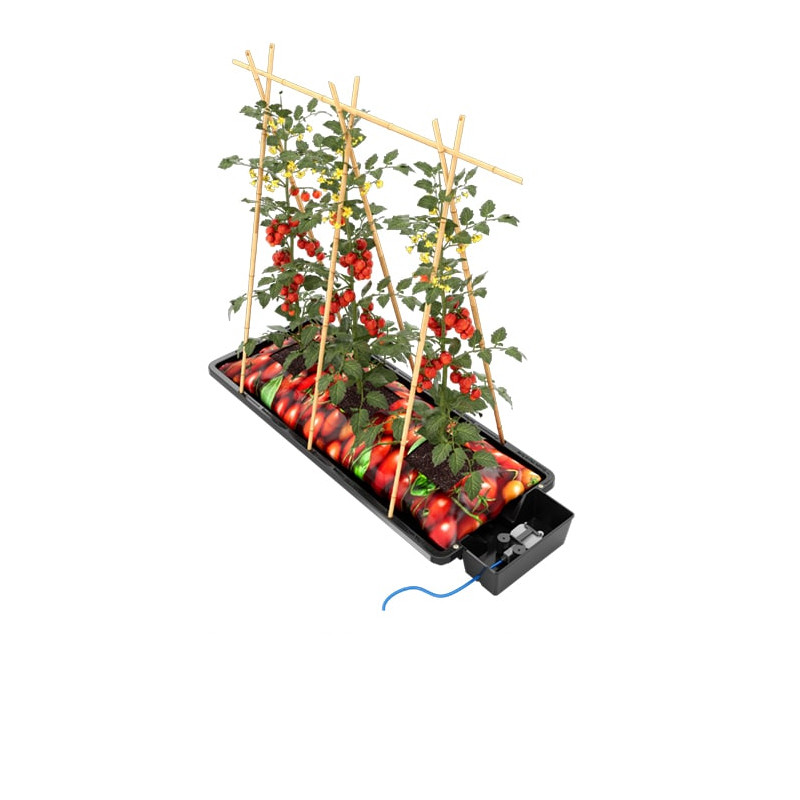 Autopot - Tray2grow - Autonomous growing system