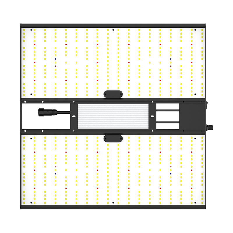 Calitek - Led Quantum Bears - 160W