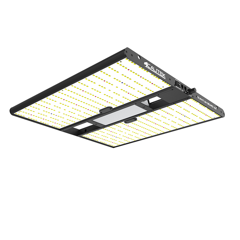 Calitek - Led Quantum Bears - 160W