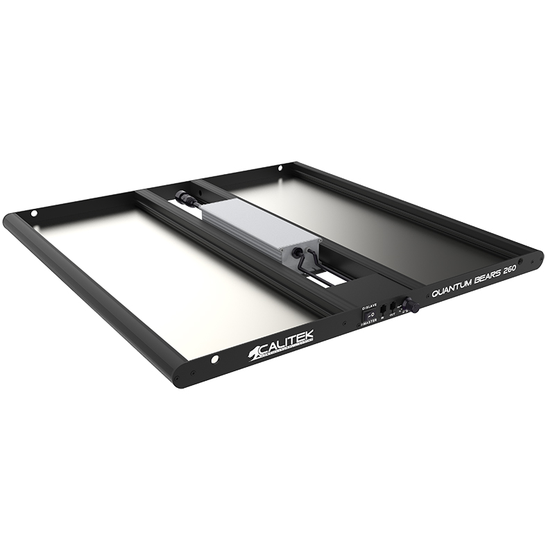  Calitek - Led Quantum Bears - 260W