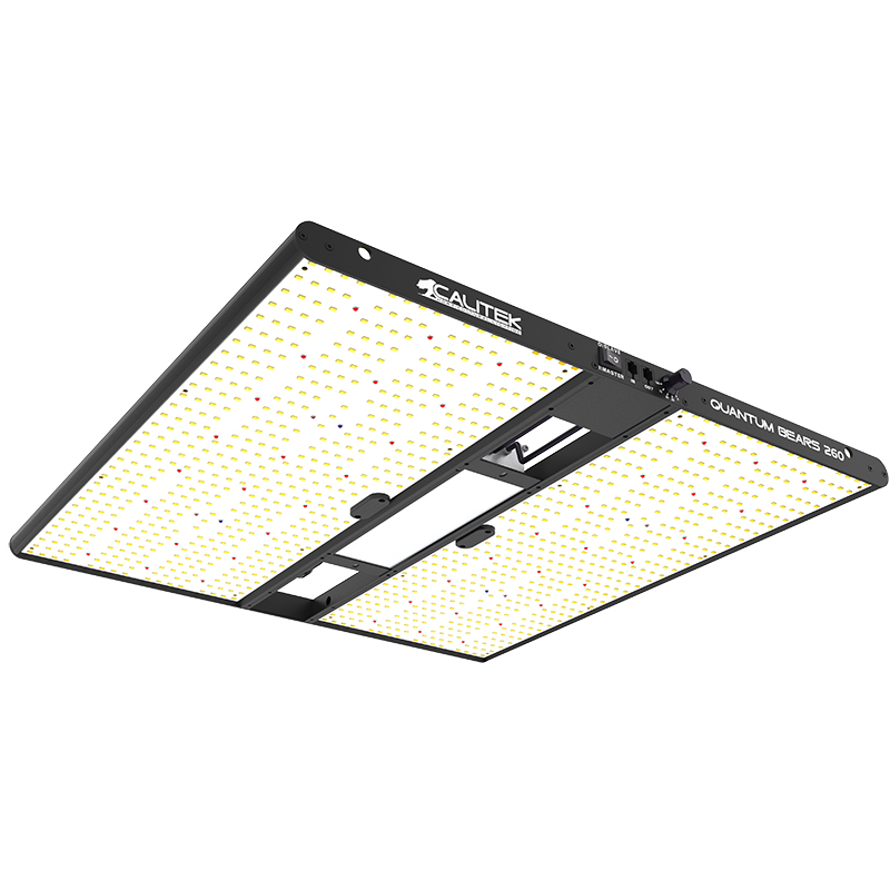  Calitek - Led Quantum Bears - 260W