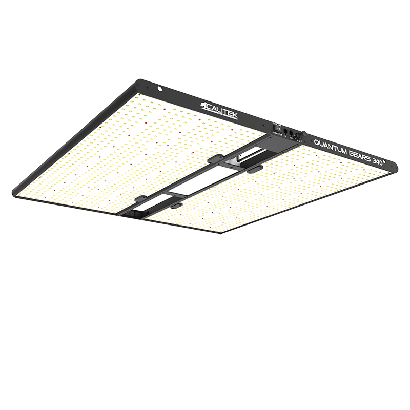 CALITEK QUANTUM BEARS 340