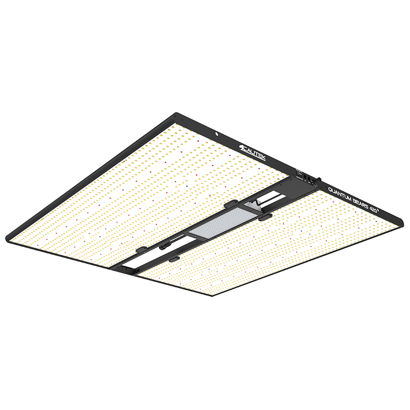 Calitek - Led Quantum Bears - 420W