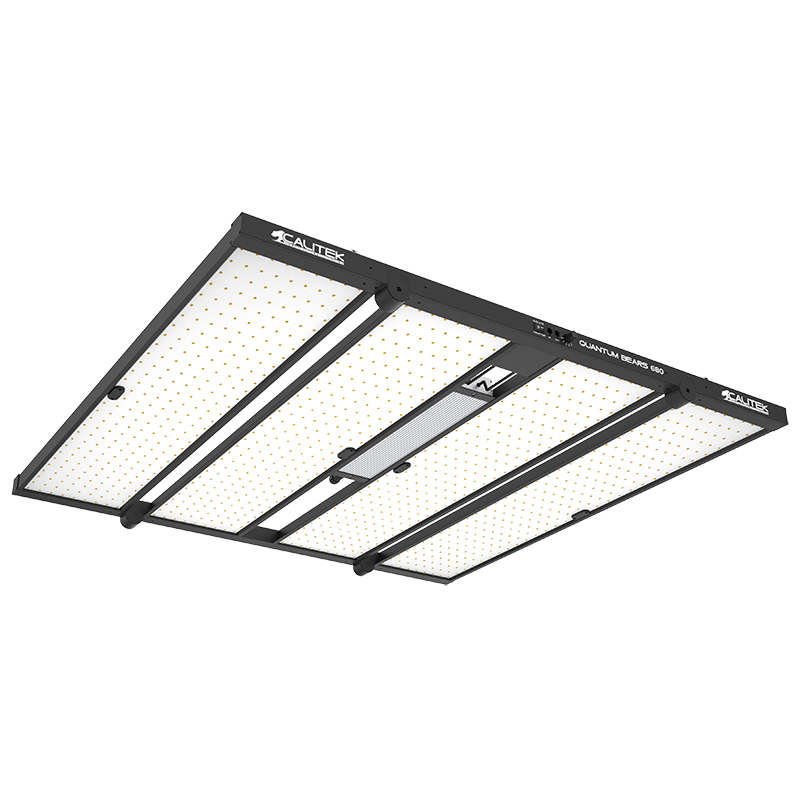 Calitek - Led Quantum Bears - 680W