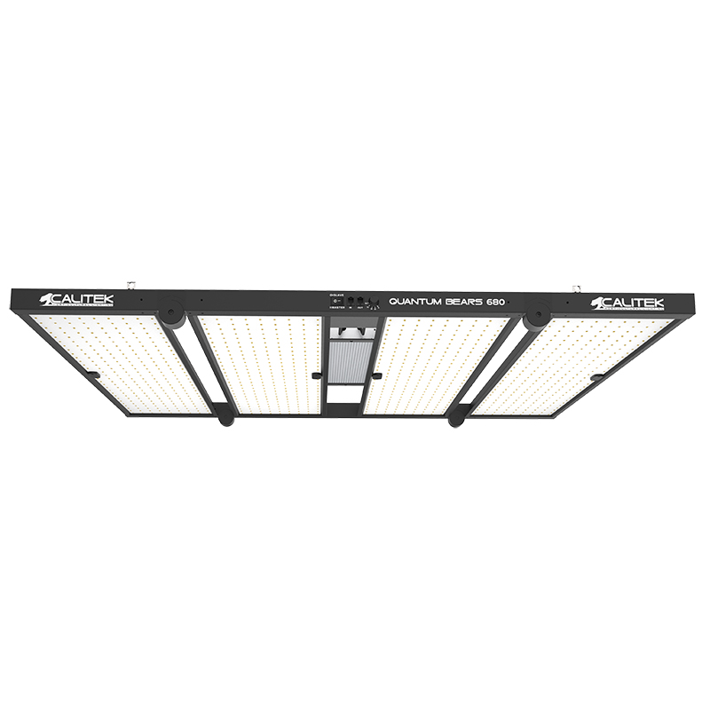Calitek - Led Quantum Bears - 680W