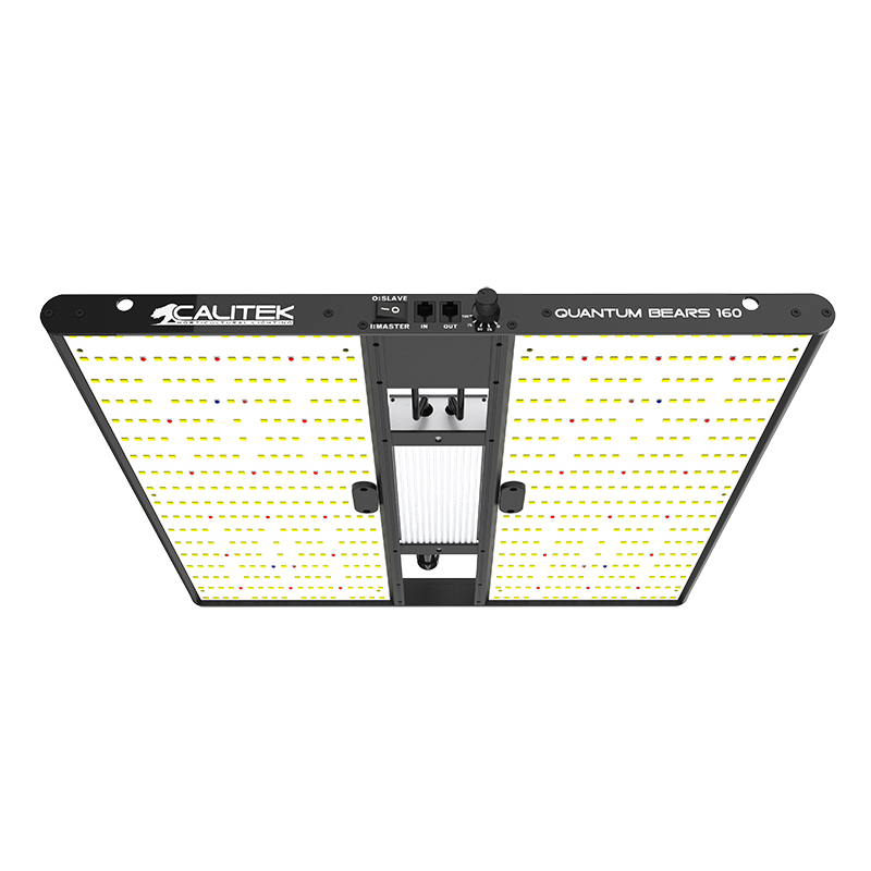 Calitek - Led Quantum Bears - 160W