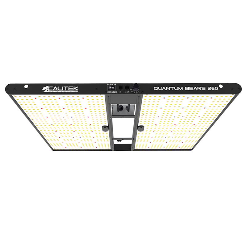 Calitek - Led Quantum Bears - 260W