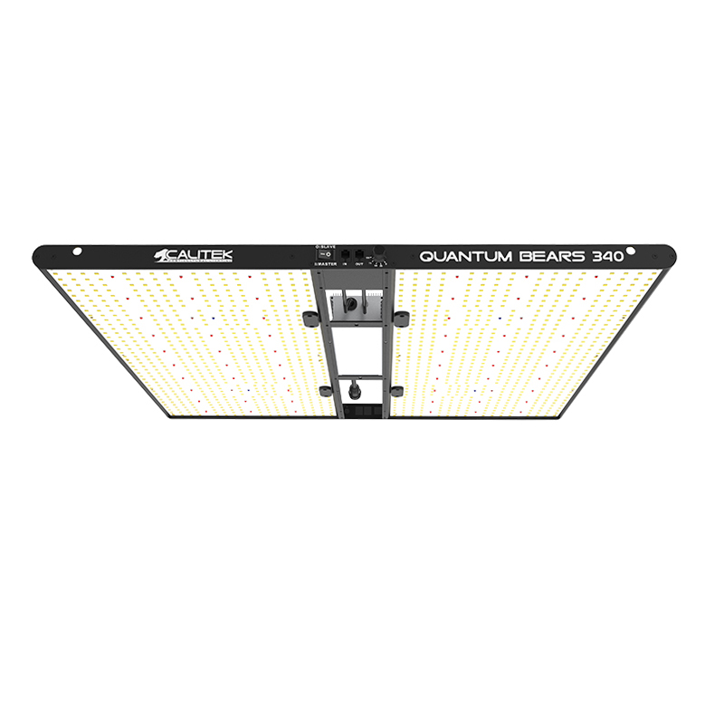 Calitek - Led Quantum Bears - 340W