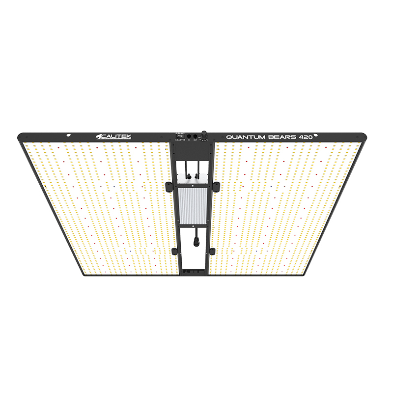  Calitek - Led Quantum Bears - 420W