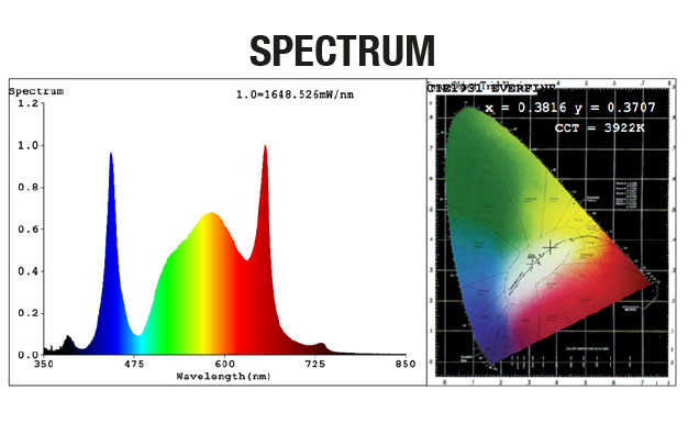  Calitek - Led Quantum Bears - 420W