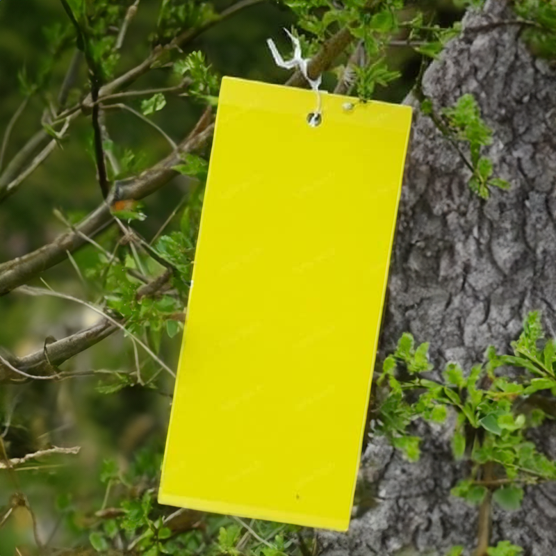 VG Garden - 10 Panneaux gluants - Piège chromatique jaune - 15x25cm