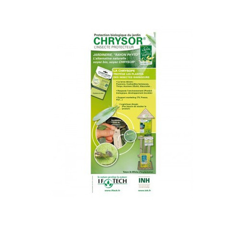 Chrysor - Pochette de 8 bandelettes