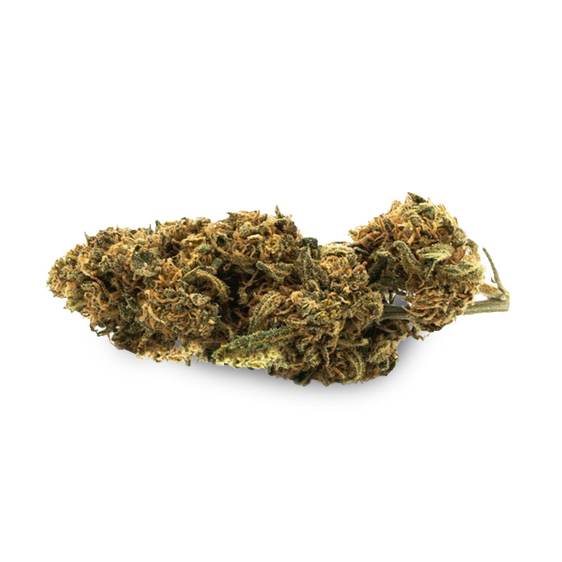 Fleurs de chanvre - Small Bud Cannatonic Green House - CBD 10g