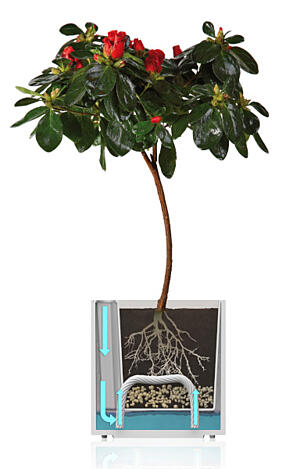 Flower Lover - Triangle pot auto irrigant - 14x14x14cm - Violet