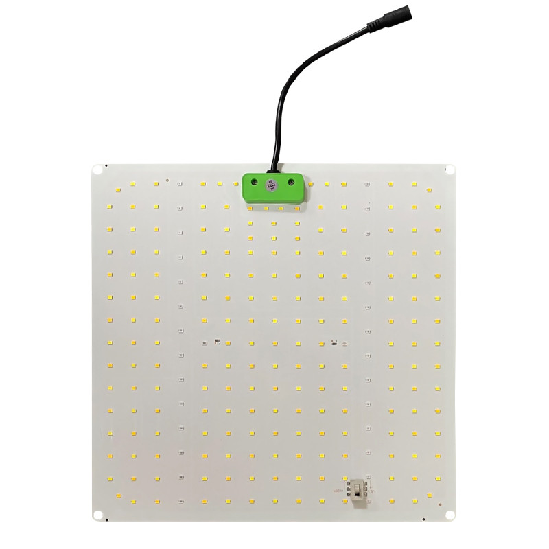 Superplant - Luce Quantica 2.3 - 65W