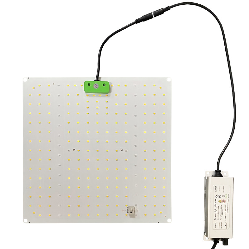 Superplant - Luce Quantica 2.3 - 65W