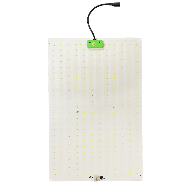 Superplant - Luce Quantica 2.3 - 120W