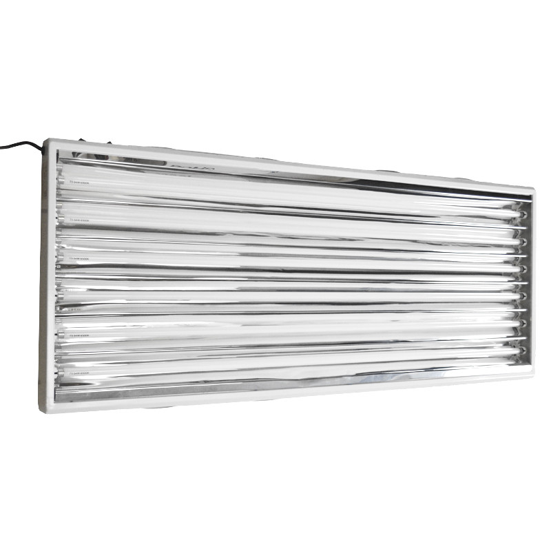 T5 6X4 324W GROEI
