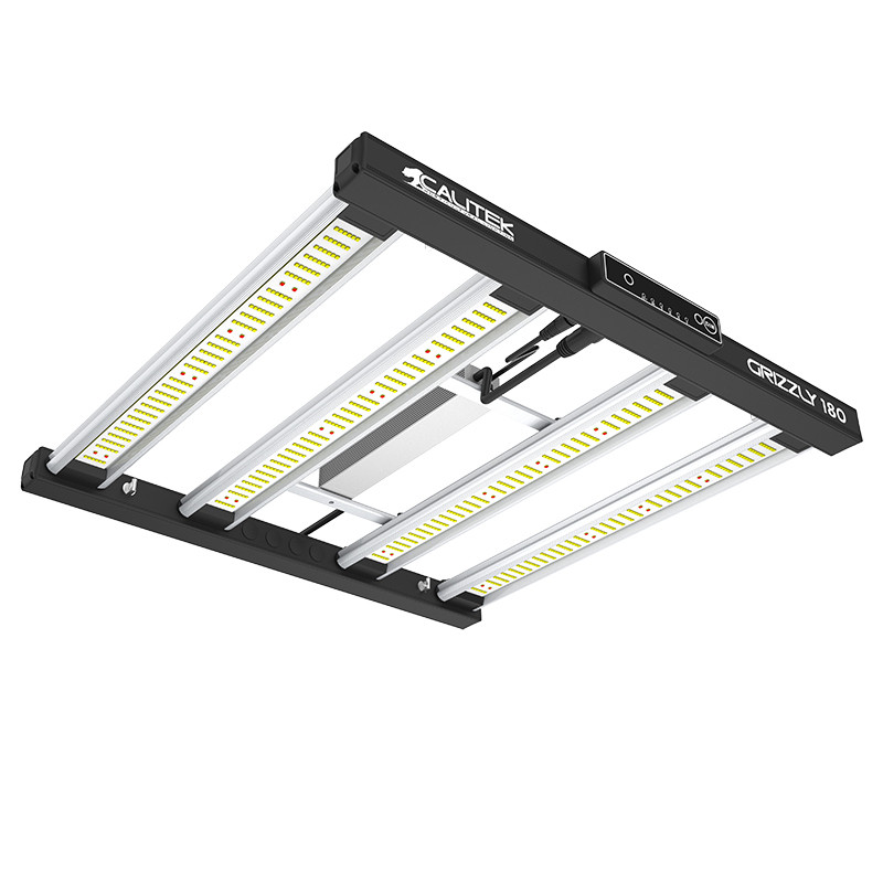 Calitek Led Grizzly 180W 2.9 - Éclairage LED Culture