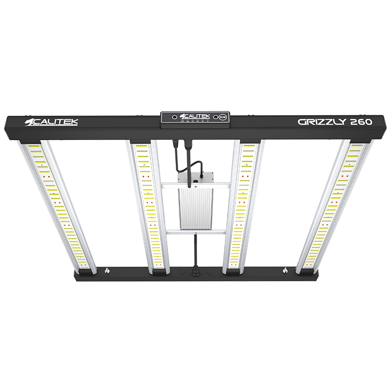  Calitek - Led Grizzly - 260W 2.9