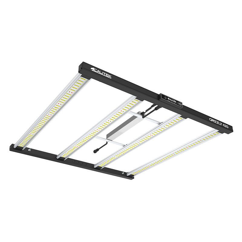  Calitek - Led Grizzly - 420W 2.9