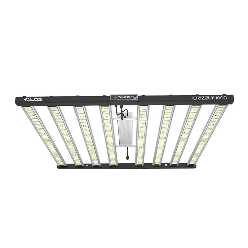  Calitek - Led Grizzly - 1000W 3.0