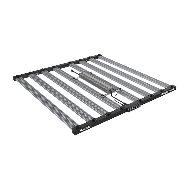  Calitek - Led Grizzly - 1000W 3.0