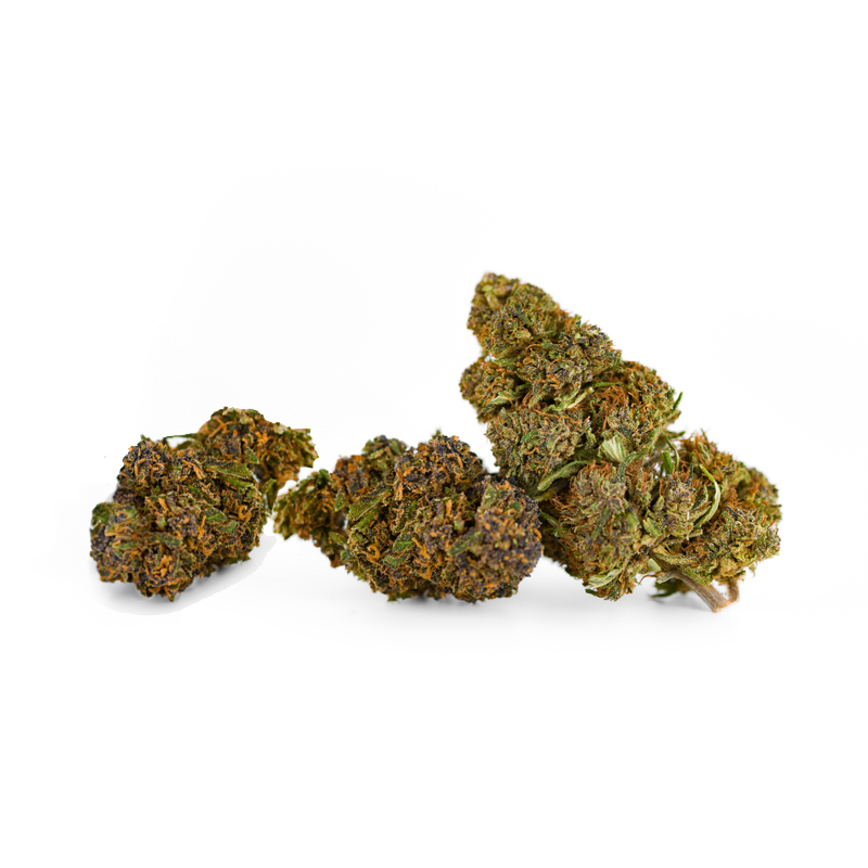 Fleurs de chanvre - Small Bud Pink Panther Greenhouse - CBD - 100g