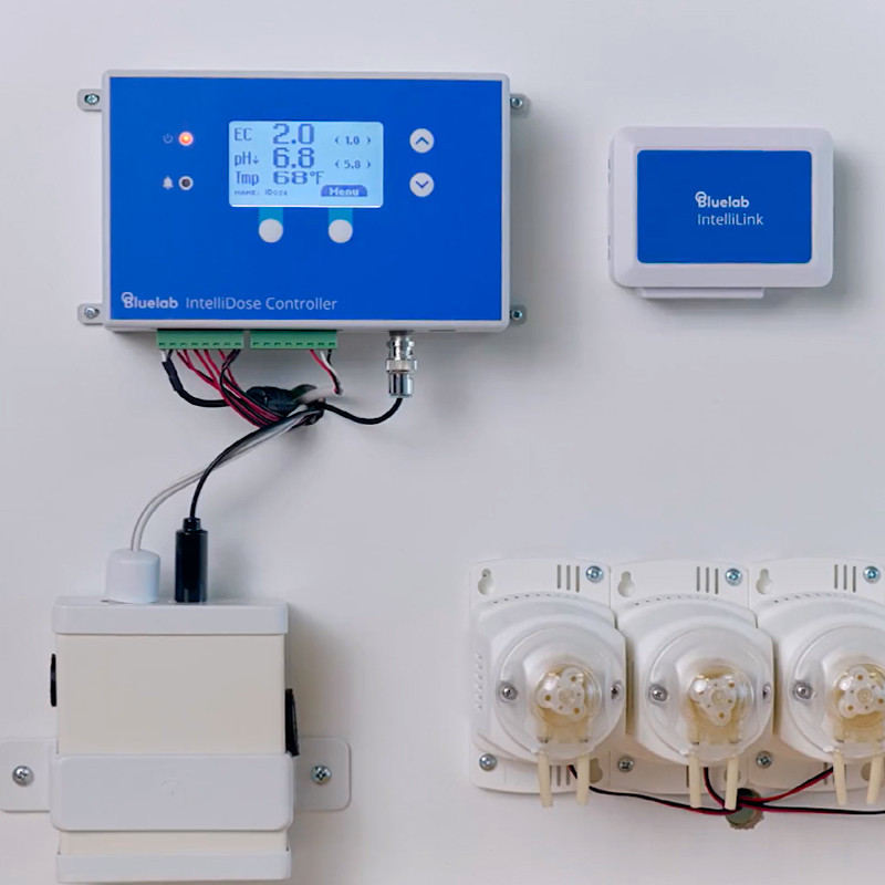 Bluelab - Pompe peristaltique pour Intellidose - 450ml/min