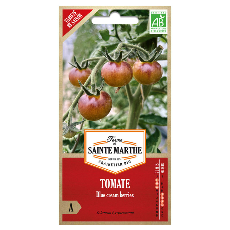 La ferme Sainte Marthe - 50 graines AB - Tomates blue cream berries