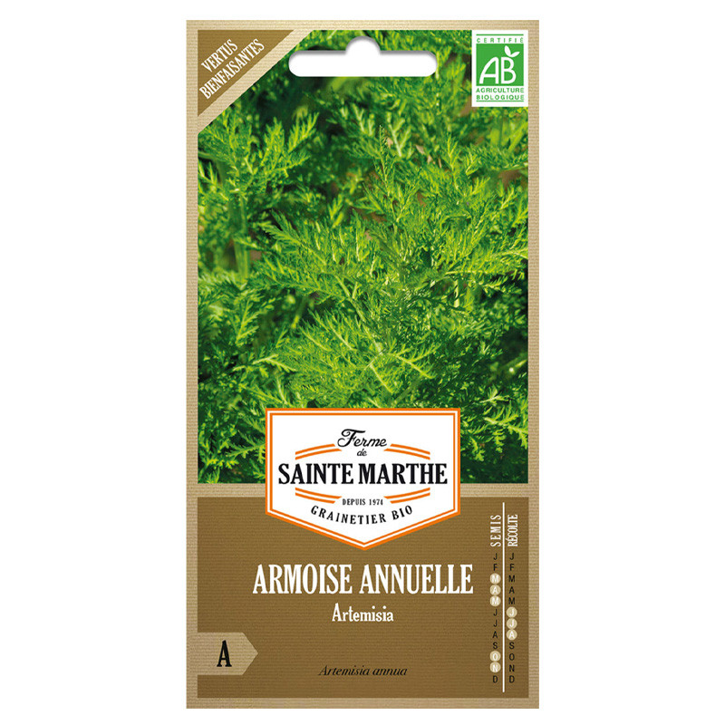 La ferme Sainte Marthe - 1000 graines AB - Armoise annuelle artemisia