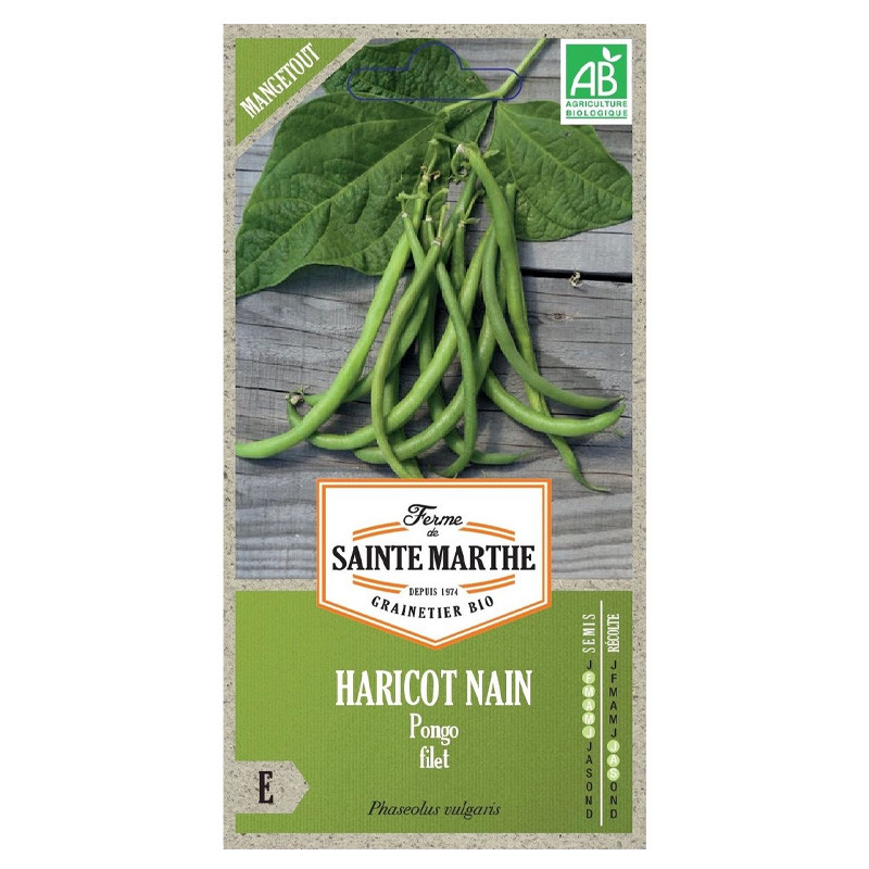 La ferme Sainte Marthe - 310 graines AB - Haricot nain pongo filet mangetout