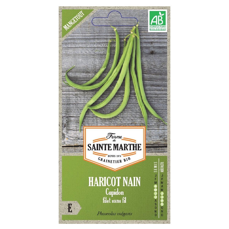 La ferme Sainte Marthe - 325 graines AB - Haricot nain cupidon filet sans fil mangetout